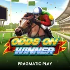 Odds On Winner screenshot